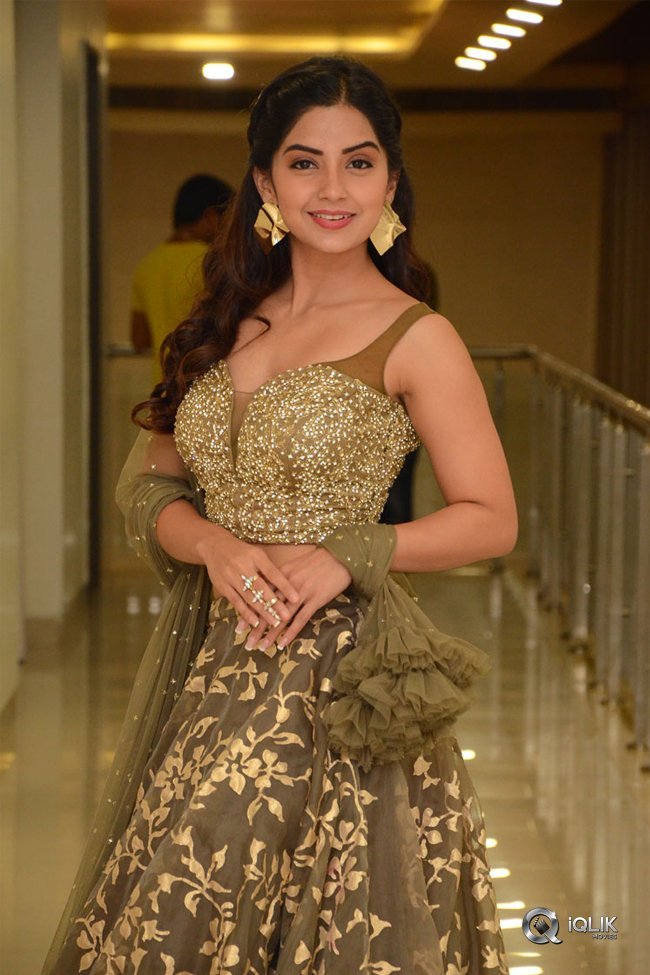 Kashmira-at-Nartanasala-Pre-Release-Event